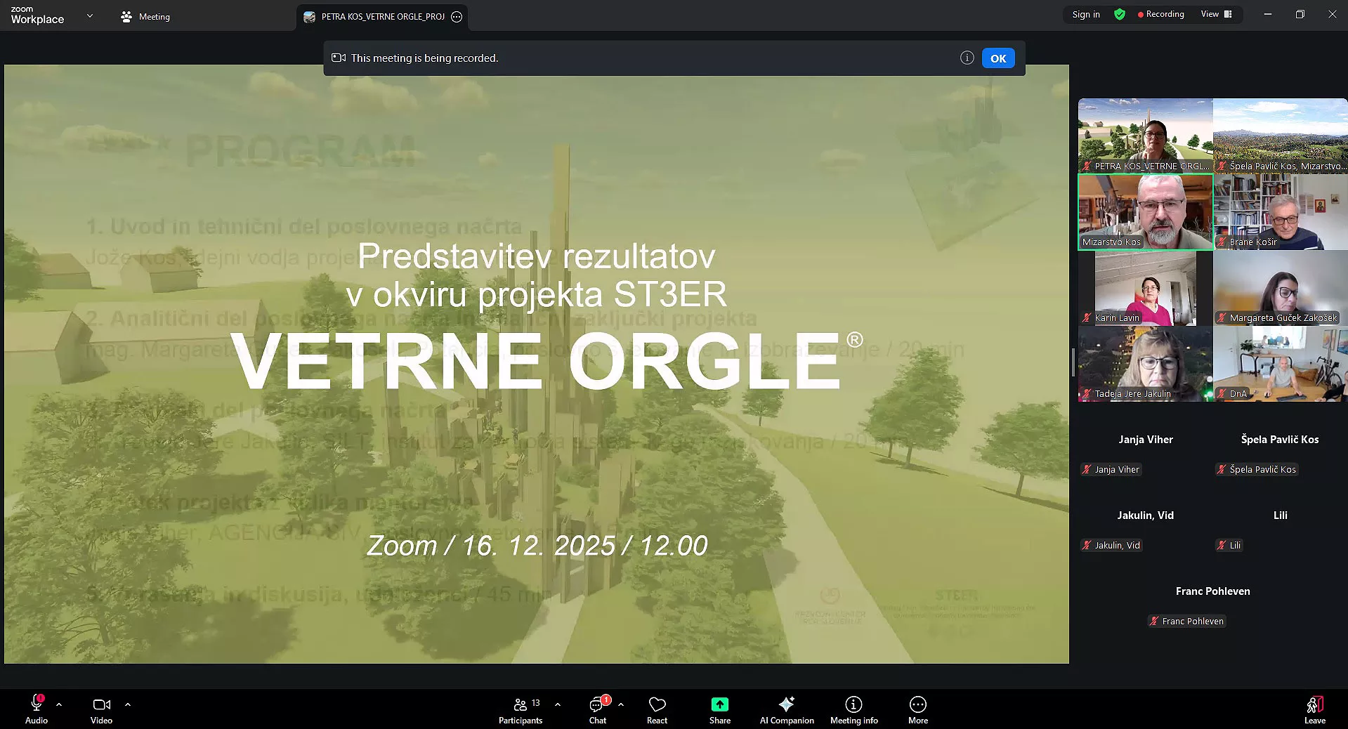 Udeleženci spletne predstavitve projekta Vetrne orgle v okviru projekta ST3ER, ki je potekala preko Zooma, 16. 12. 2025