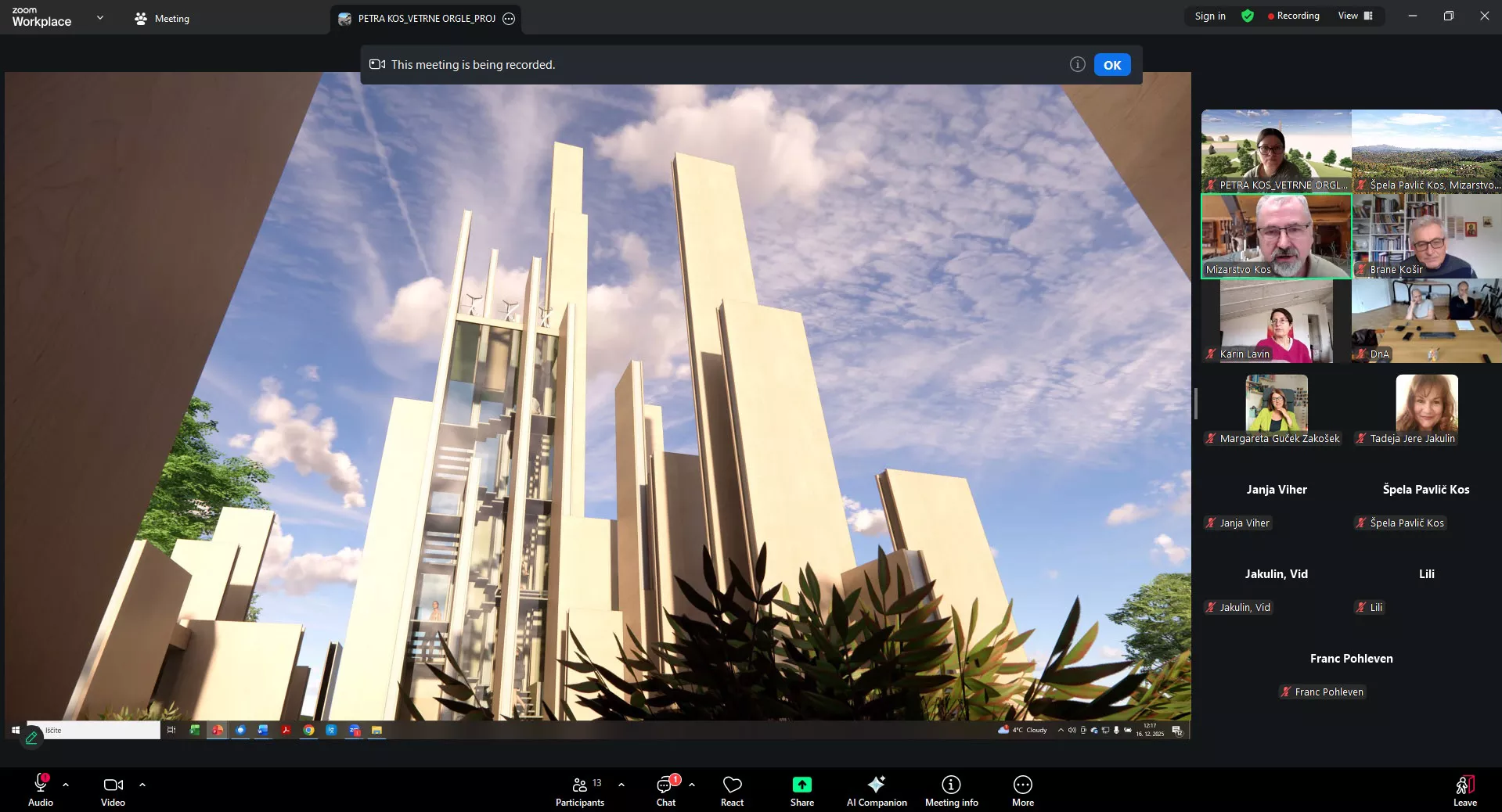 Predstavitev Vetrne orgle_16.12.2025_3 copy Udeleženci spletne predstavitve projekta Vetrne orgle v okviru projekta ST3ER, ki je potekala preko Zooma, 16. 12. 2025