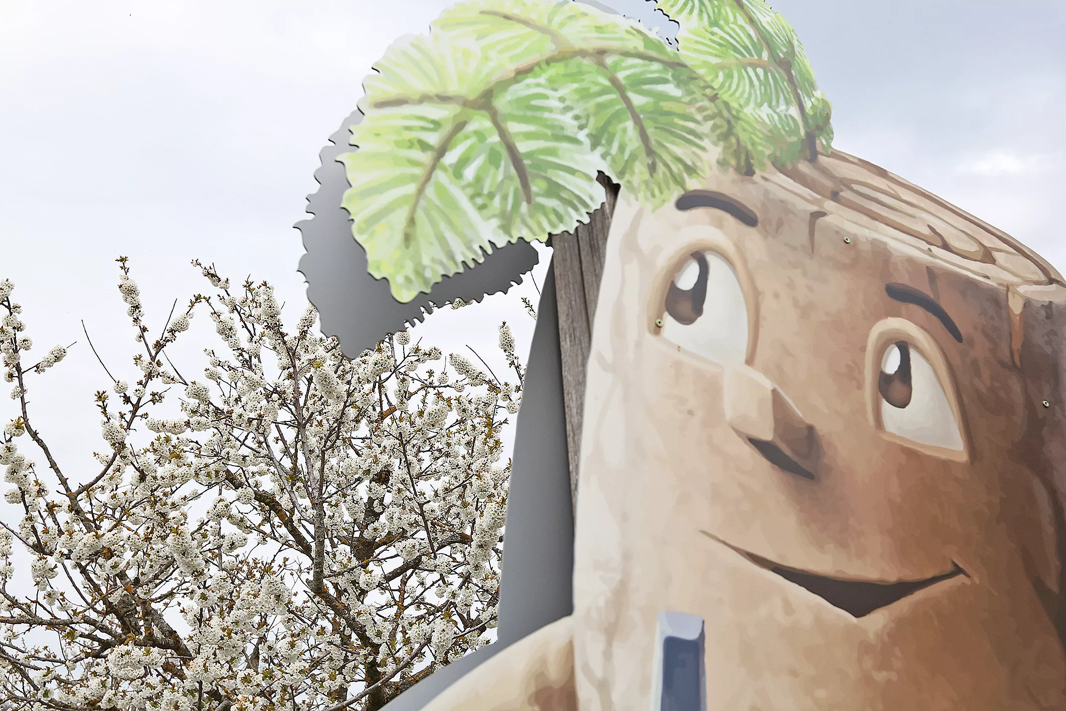 SGLVŠ_Novo mesto (18) Obisk dijakov iz Srednje gradbene, lesarske in vzgojiteljske Srednje šole Novo mesto